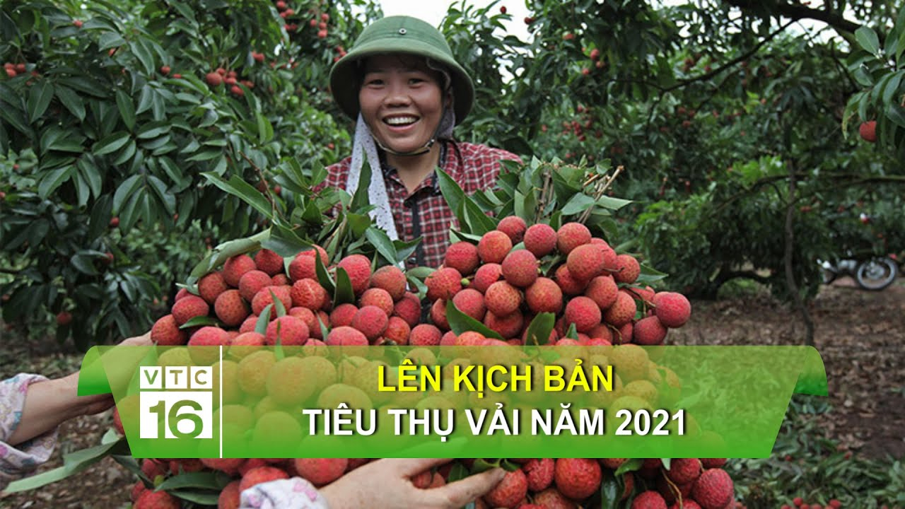 Bunmathan phát biểu làm 'dậy sóng' truyền thông Thái Lan về Quang Hải