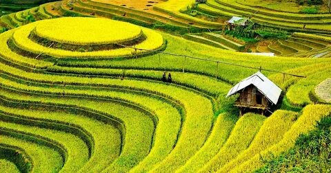 Phi công nào dùng MiG-17 bắn rơi nhiều máy bay Mỹ nhất thế giới?