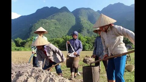 Công thức nước uống làm đẹp da, khỏe người và giảm cân trong mùa hè
