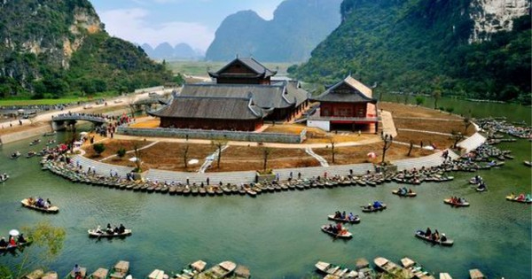 Những loại rau trồng một lần ăn quanh năm